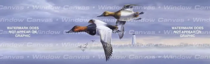 Canvasbacks Rear Window Decal