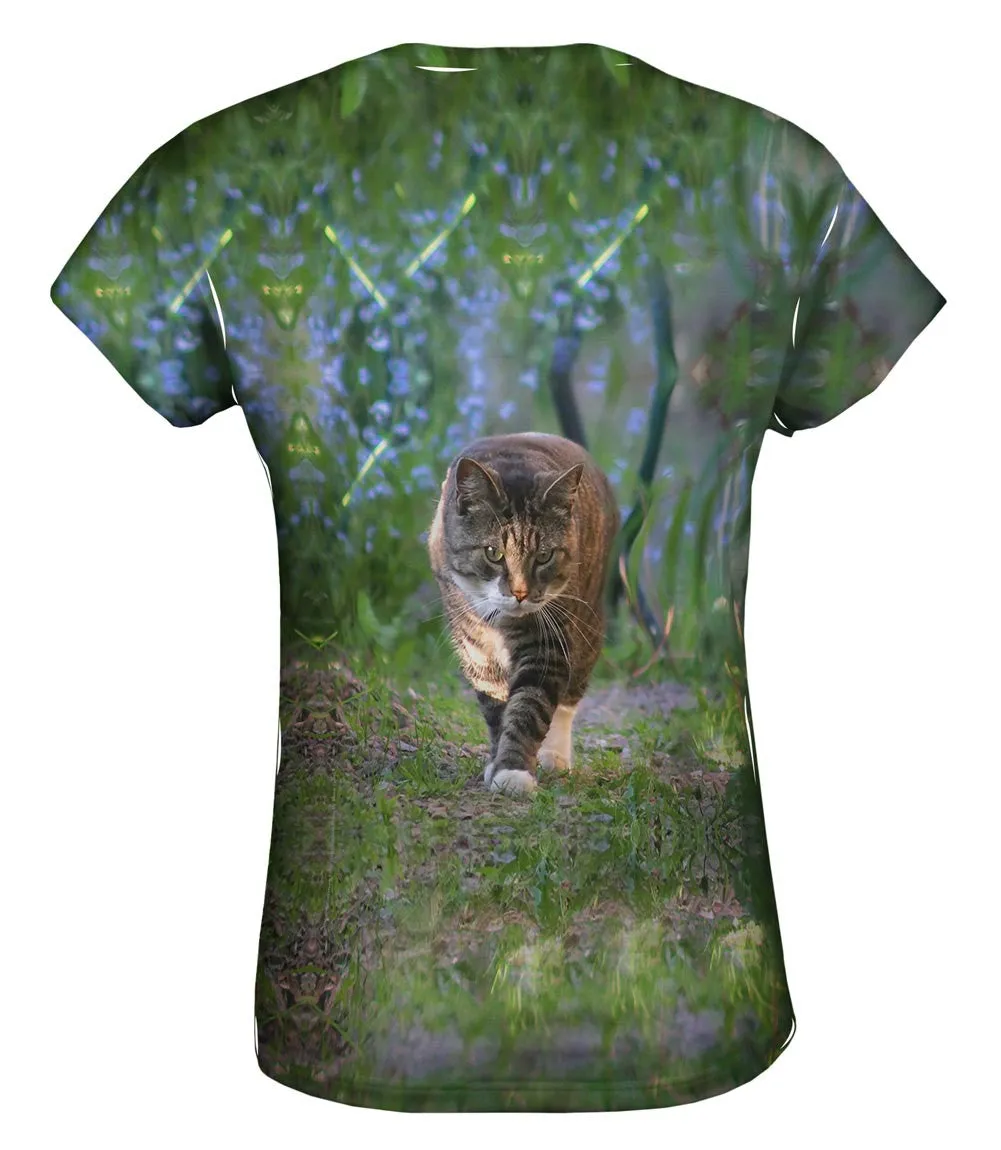 Kitty Cat On The  Prowl
