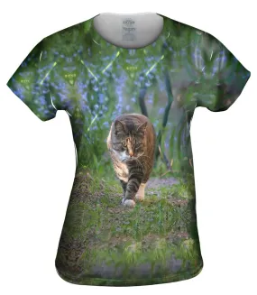 Kitty Cat On The  Prowl