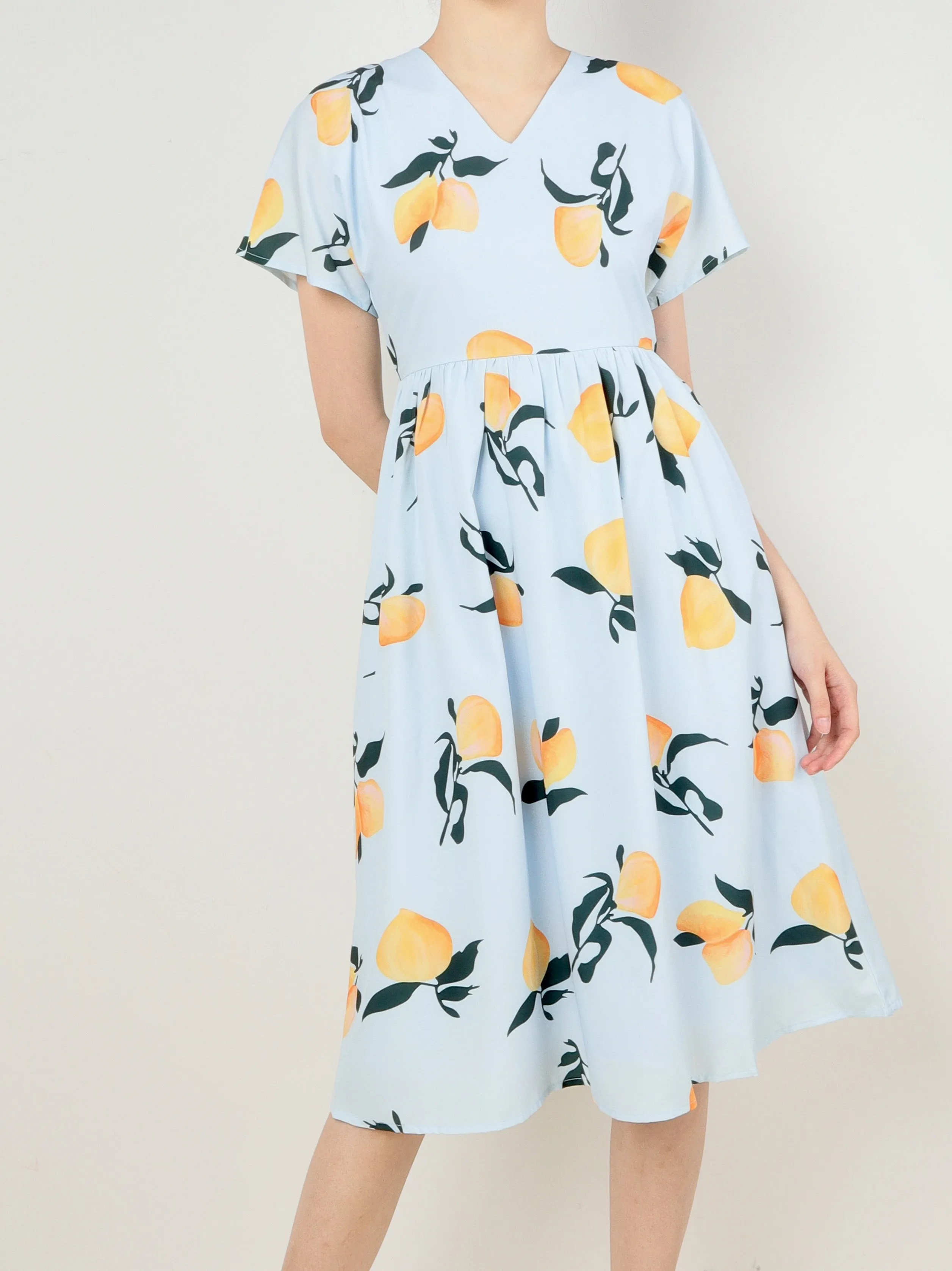 Lexa Midi Dress