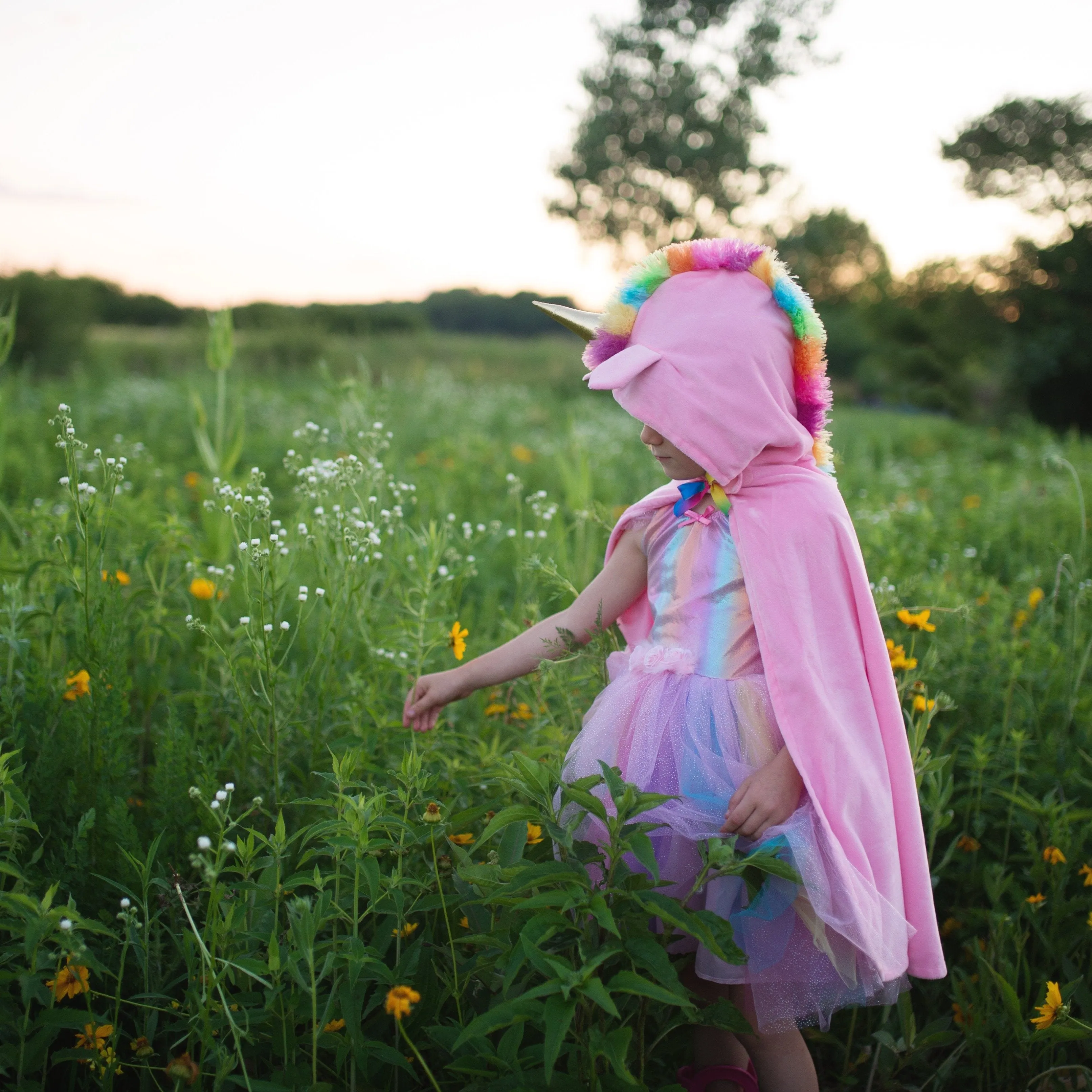 Pink Unicorn Cape