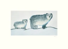 Roaming Bears, by Annie Parr